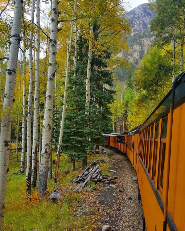 The Durango Train stretches around a bend beyond the tall, white, black-speckled aspen trees and the wide, dark-green pine trees. A tall mountain stands in the background.