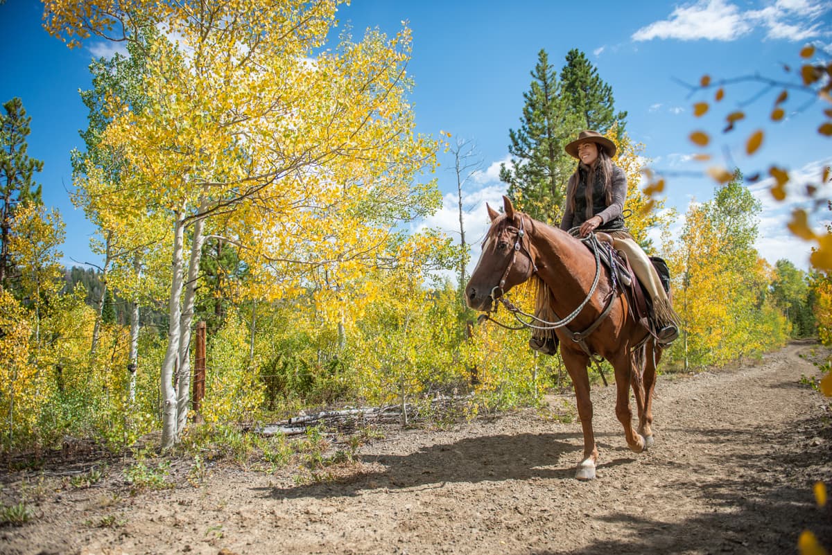 A smiling horseback rider saunters on a dirt trail on top of their brown horse. There are pine trees and yellow-leafed aspens on their right.
