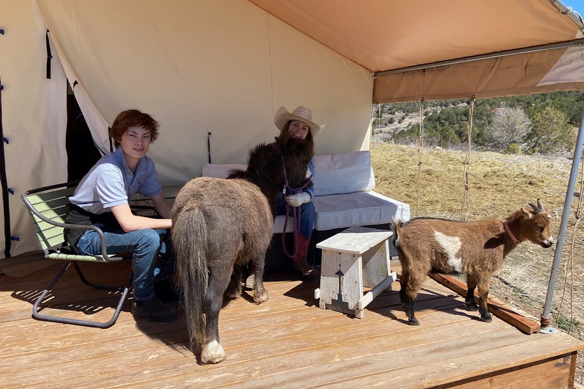 A parent and child sit on a porch outside a safari-style canvas tent at Cedar Ridge Ranch in Colorado. They are joined by a small goat and a chocolate-colored pony.