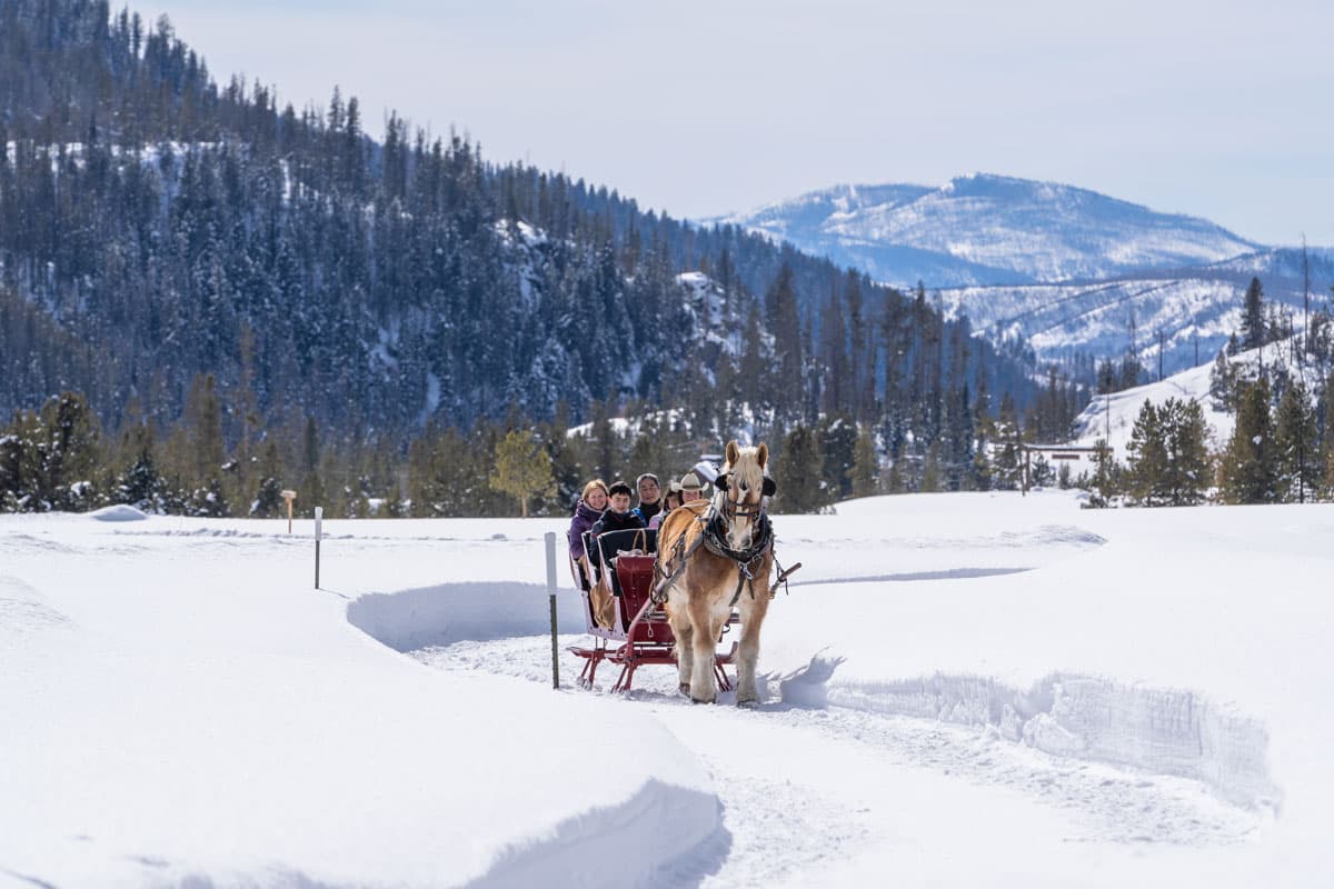 A fluffy, large horse pulls at least five people dressed warmly in a red carriage through a wide path surrounded by deep snow. In the background are several tall pine-tree-covered hills with snow dusted on them.