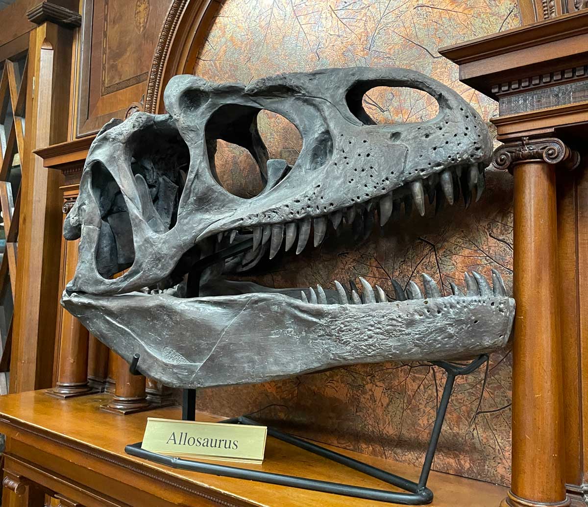 Best Western Denver Southwest