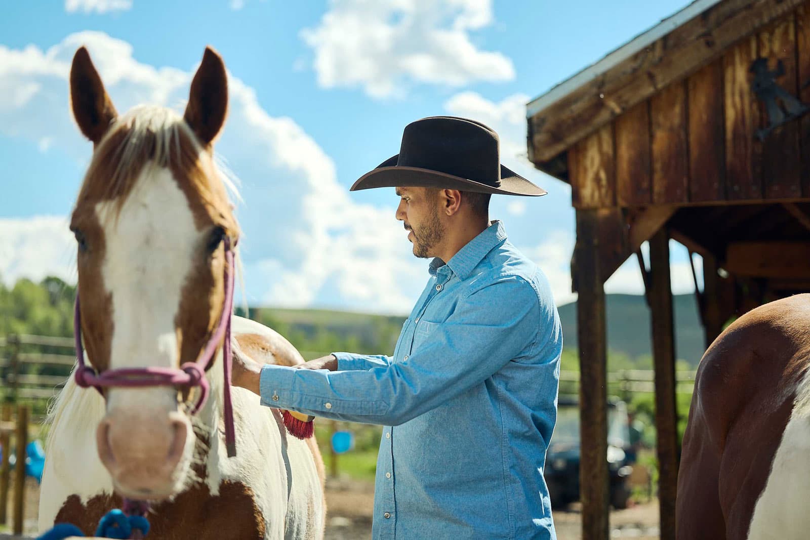 A man tinkers with a horse's reins