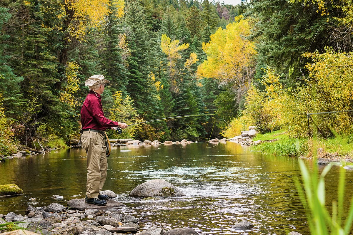 An angler fly fishes in autumn along a section of river by O-Bar-O Cabins near Durango, CO.