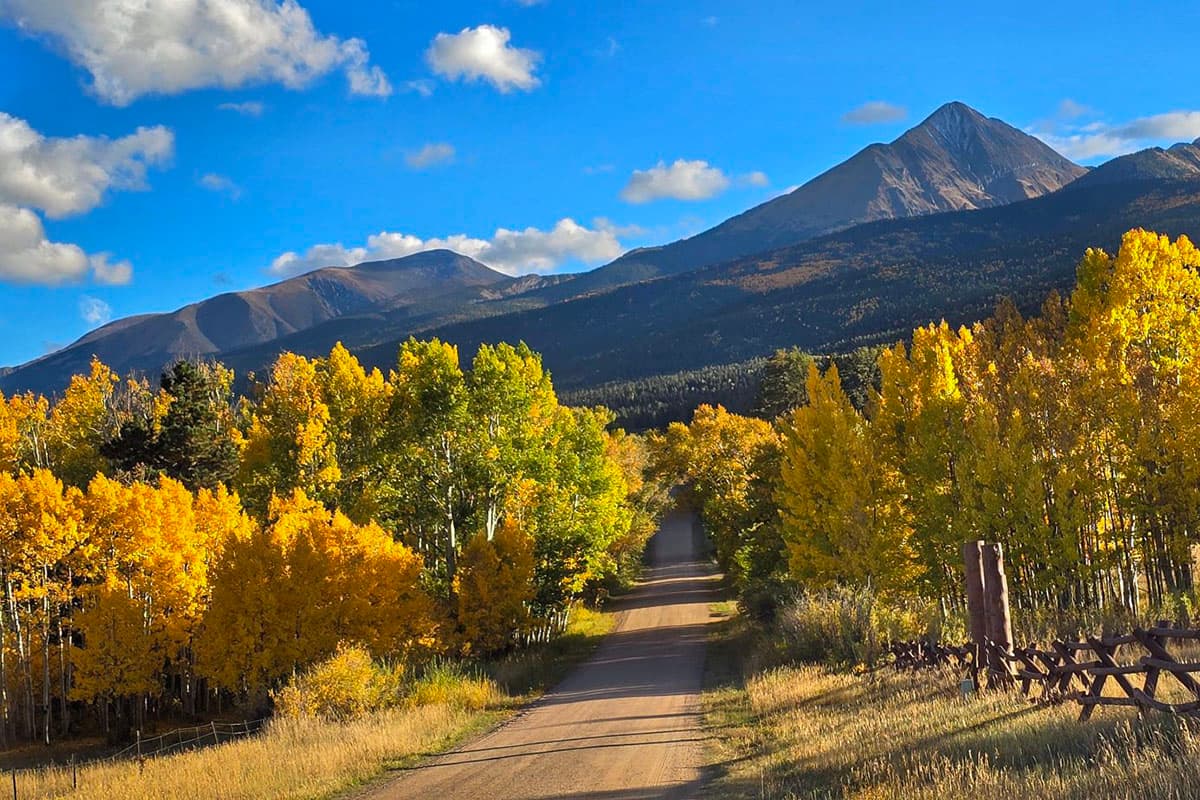 A dirt road leading in direction of mountains, with yellow and golden colored fall trees in Silver Cliff.