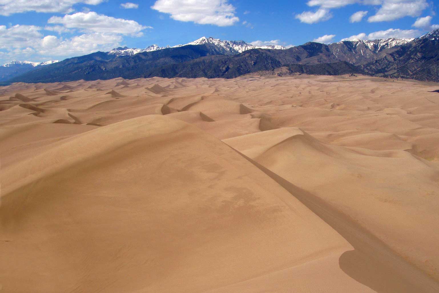 Towering sand dunes stretch across the landscape towards a line of tree-covered peaks at Great Sand Dunes National Park.