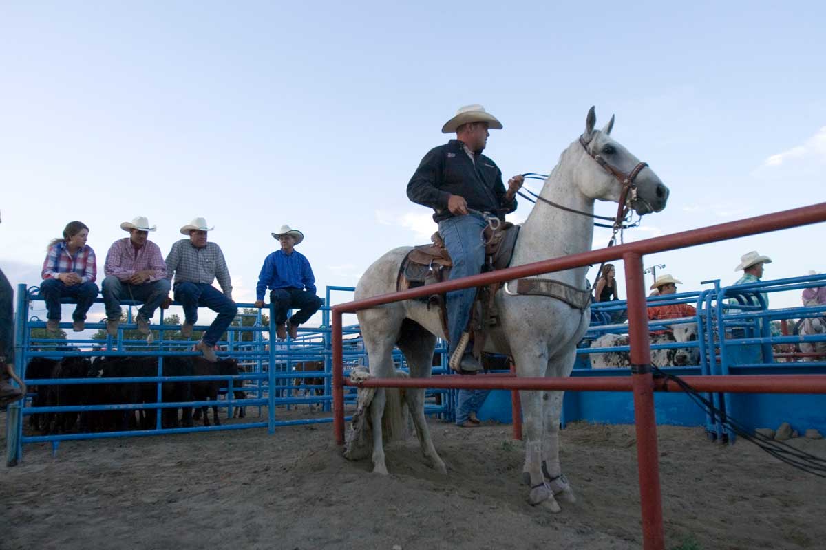 A person sits on a white horse while four people in cowboy hats sit on blue metal railing at the 4th of July Rodeo in Brush.