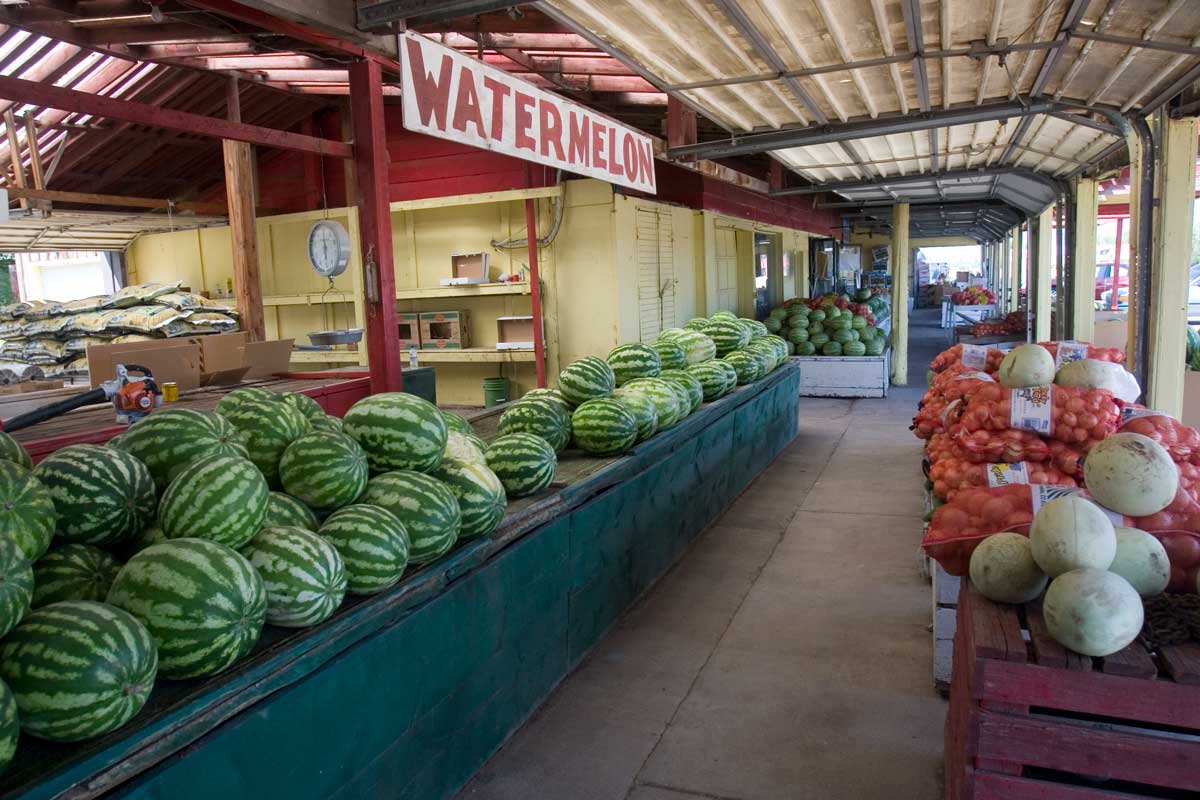 A farm stand with bins full of watermelons on the left and on the right pumpkins sit atop shelves.