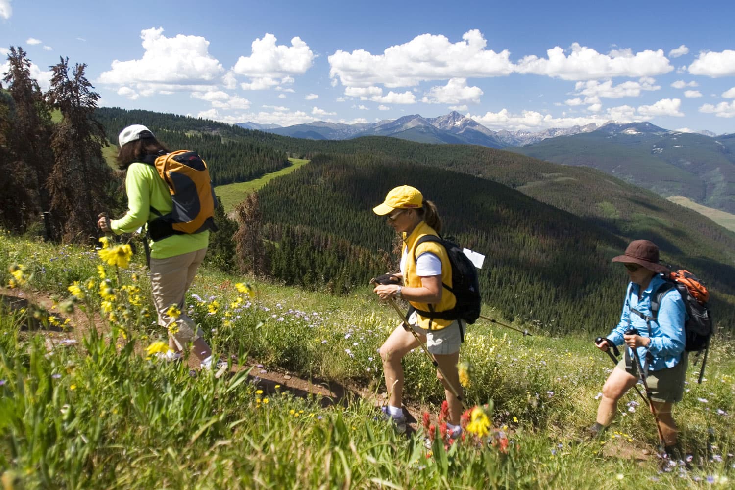 Three people with hiking poles trek up a wildflower-lined trail in Colorado with mountains in the background