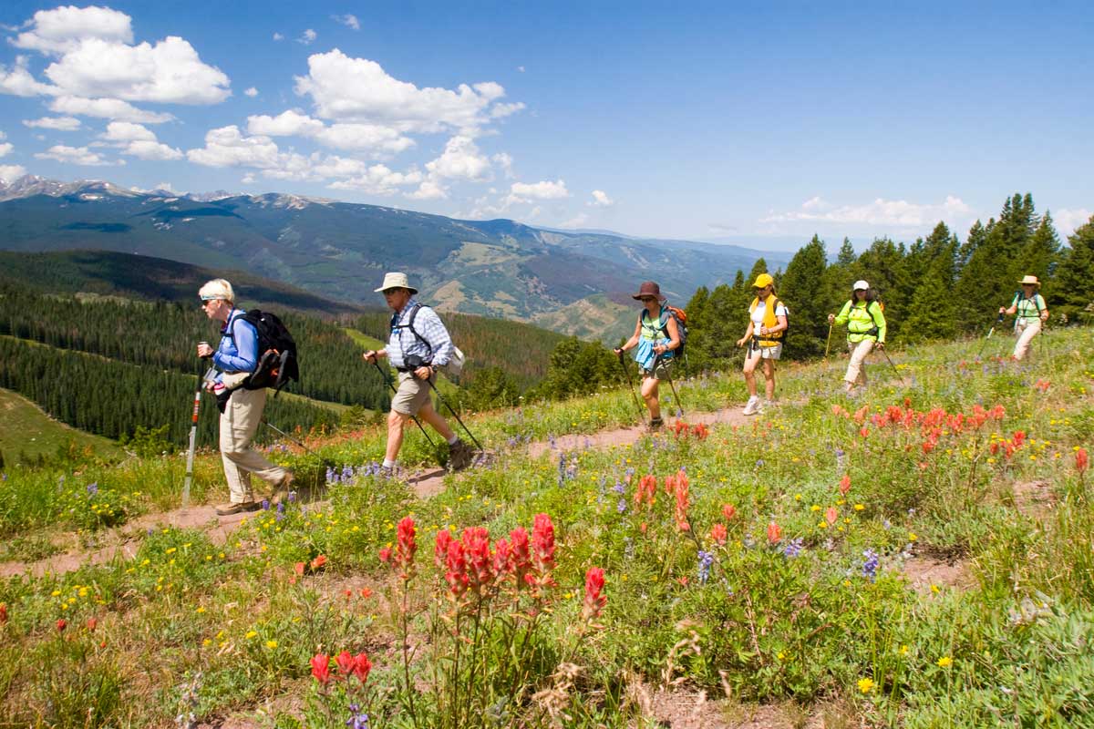 Six people hike on a ridge near Vail through green tall grasses and wildflowers under a blue sky with mountains in the distance.
