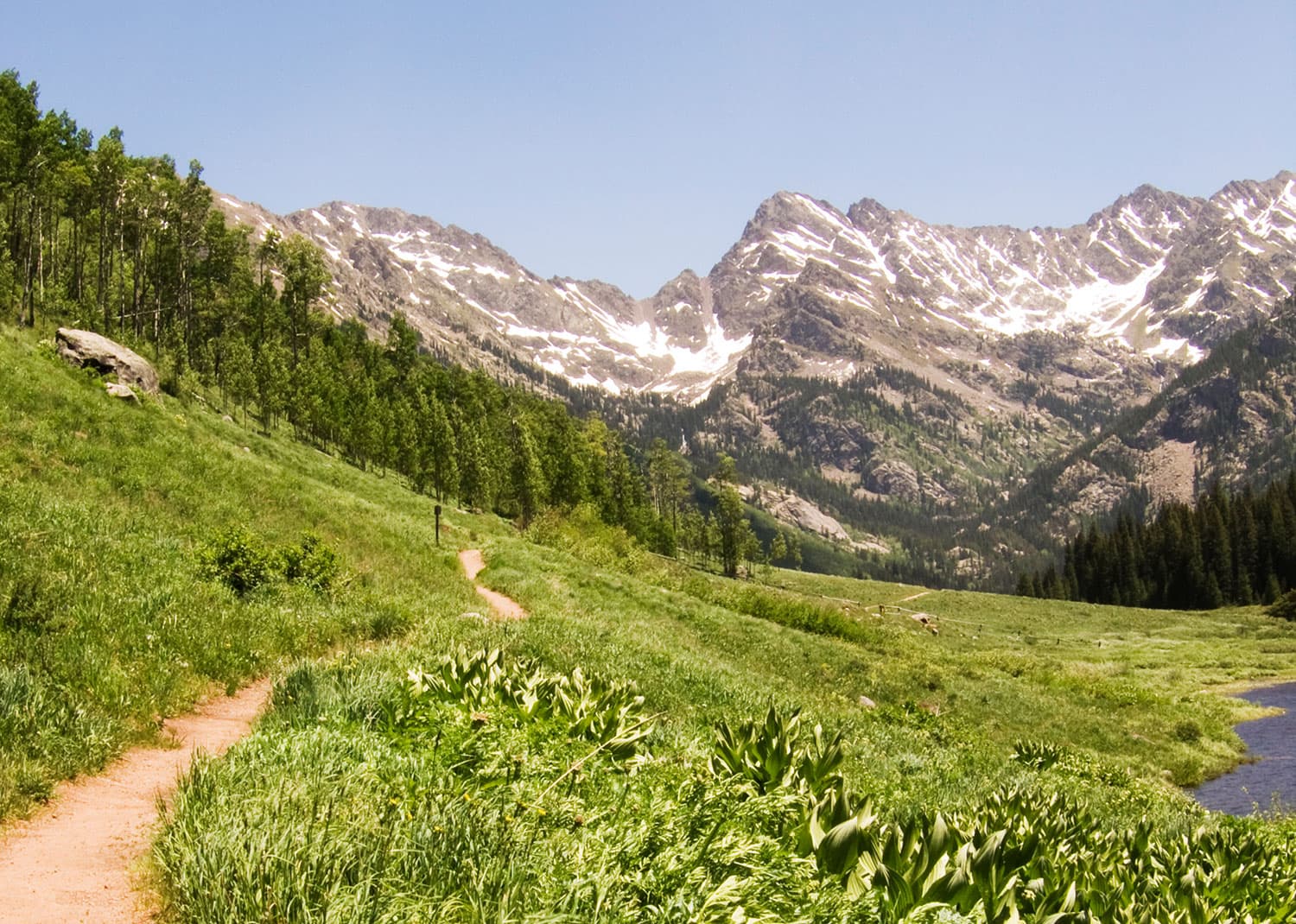 A lush green meadow with mountains in the background