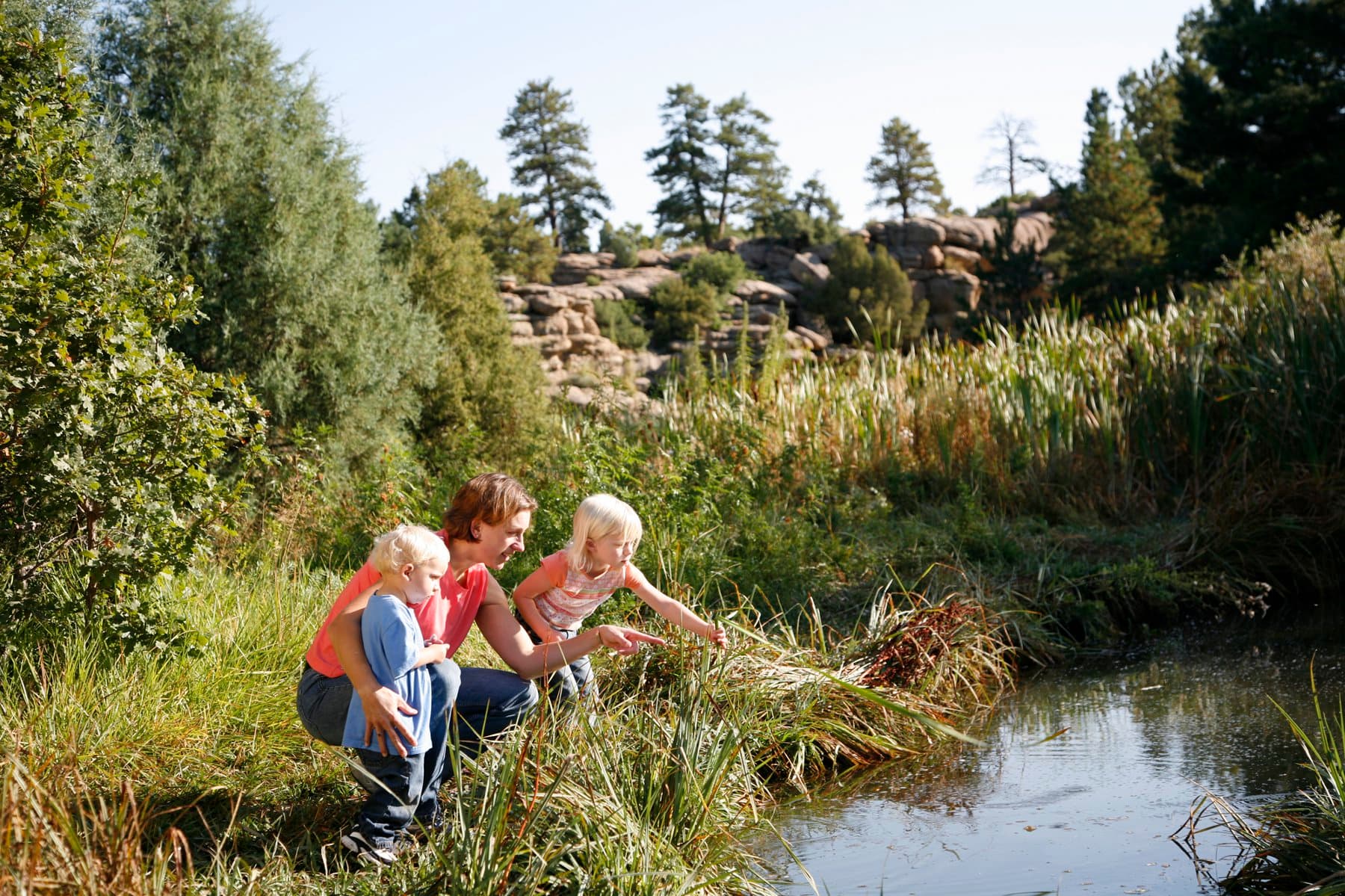 A woman with two little girls points to something in a glassy river in the summer. They're surrounded by tall green grass, evergreen trees and a light-blue sky.