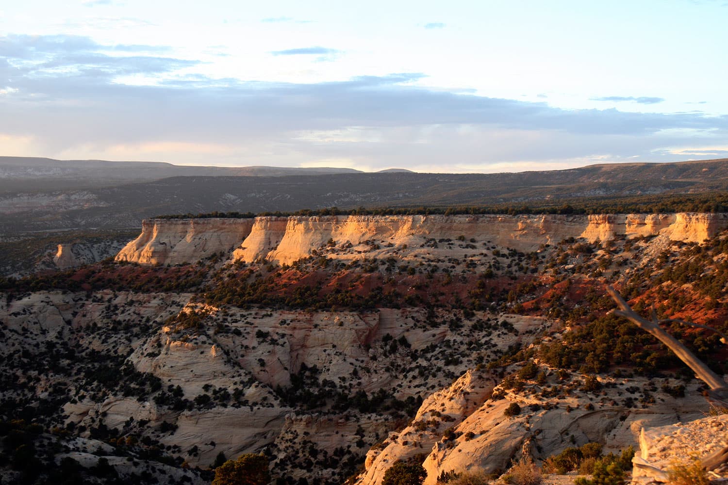 The flat-topped mesa of Dinosaur National Monument basks in the golden glow of the sunset. Beneath the top, layers of rock in tan colors are covered in scrubby bushes.