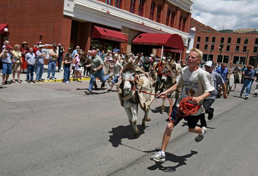 A man runs a donkey down a street with other people running donkeys in the background. Red-brick buildings sit in the back of the image and spectators cheer from the streets.