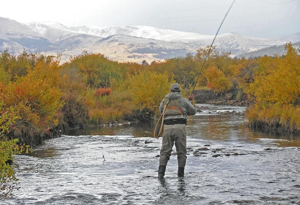 A person stands in the middle of the river Flyfishing near Fairplay. There are snow-covered mountains in the distance and the riverbanks are covered in fall vegetation.