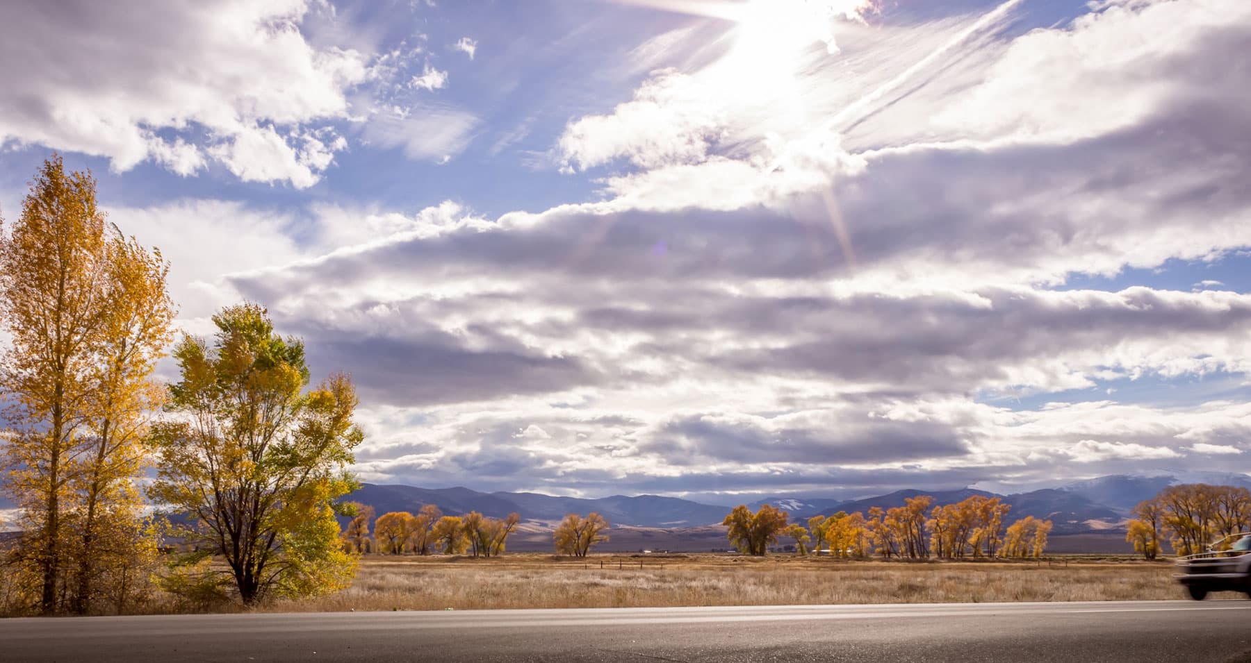A stretch of road with golden-hued trees, yellow tall grasses and mountain peaks in the distance. The sky is blue with lots of clouds.