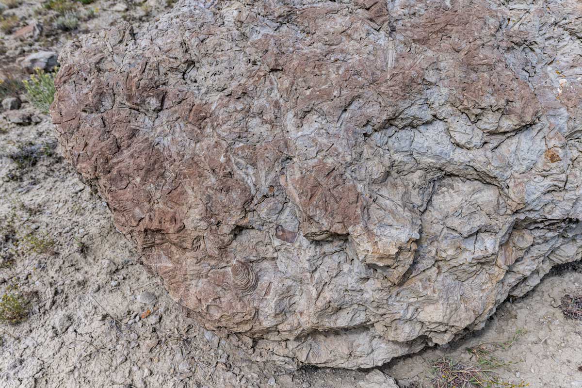 Colorado River Headwaters