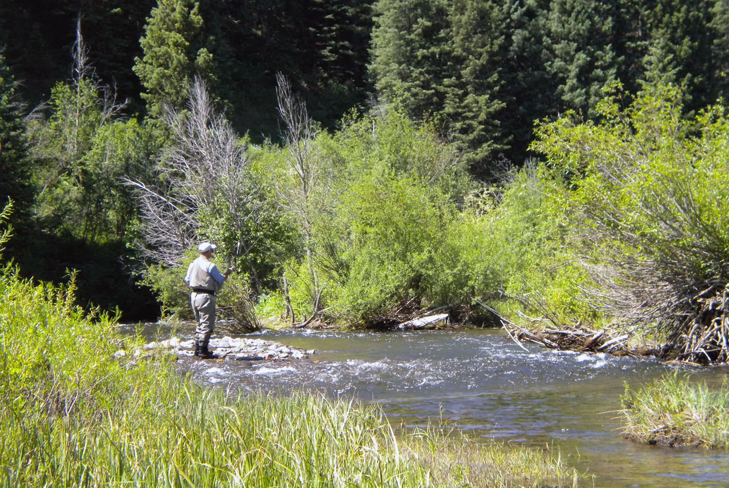 A man fishes in the middle of a river with greenery surrounding him.