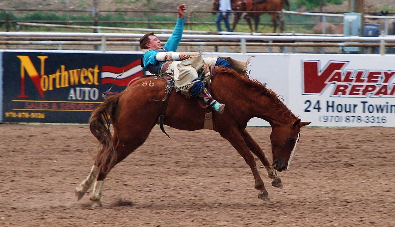 A rodeo cowboy sits astride a bucking bronco at a Rodeo in Meeker.