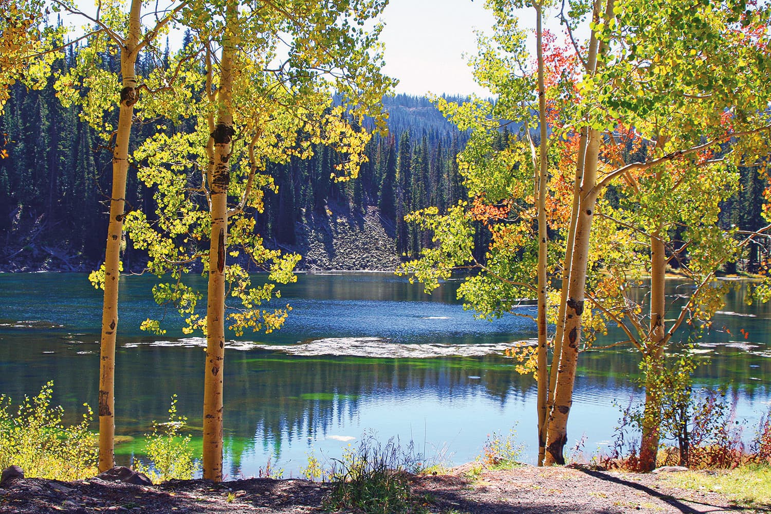 Young aspen trees with hints of fall colors frame the views of a shimmering lake in northwest Colorado. The other shore of the lake features tall pines and rock-filled steep.