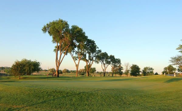 The sun sets on the peaceful greens, interrupted only by several tall trees.
