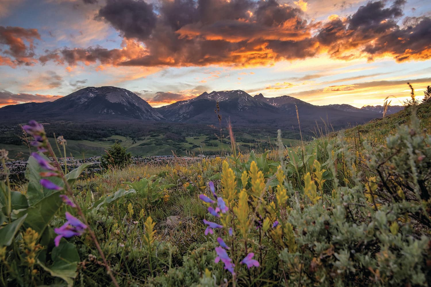 Wildflowers and green grasses stand in the foreground with mountain peaks in the distance. The sun is setting, casting the clouds in orange and grey hues.