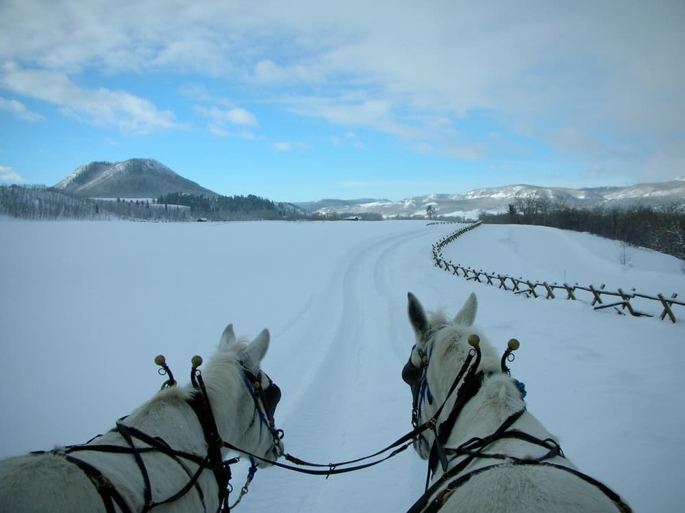 From the rider's point of view, two horses are pulling a sleigh across a snow-covered path. To the right, a fence separates a snow-covered field from trees. In the background mountain peaks are covered with snow under a light blue sky.