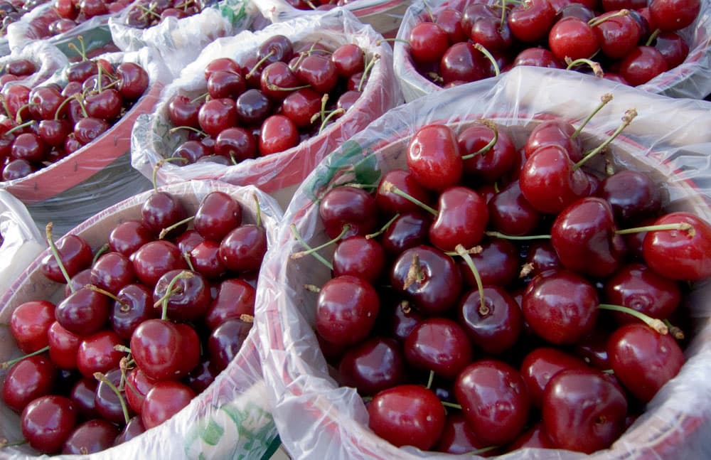 Bags of bright red, locally grown cherries at a Colorado farmers' market