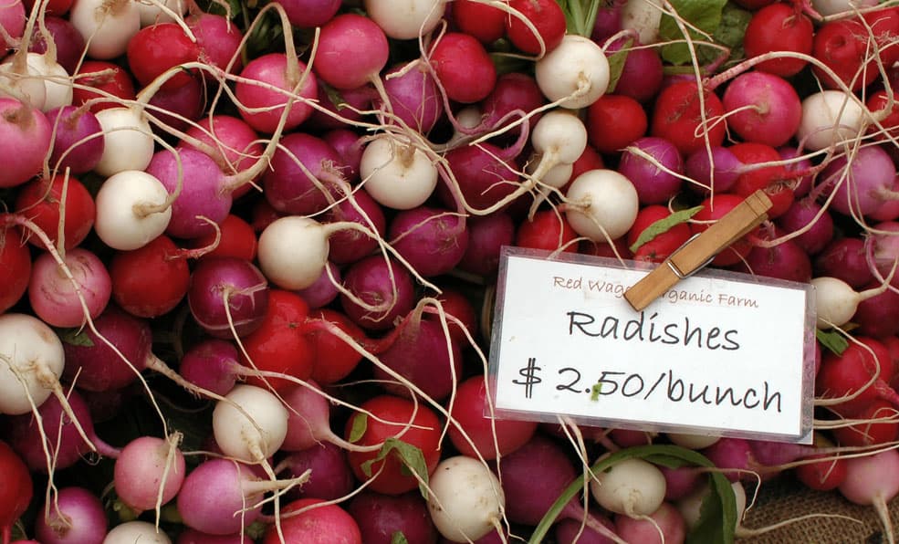 A display of red radishes