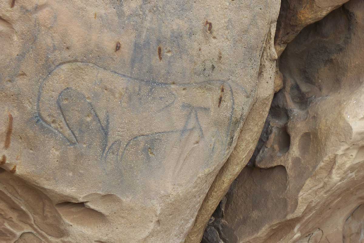 Picture Canyon near Campo