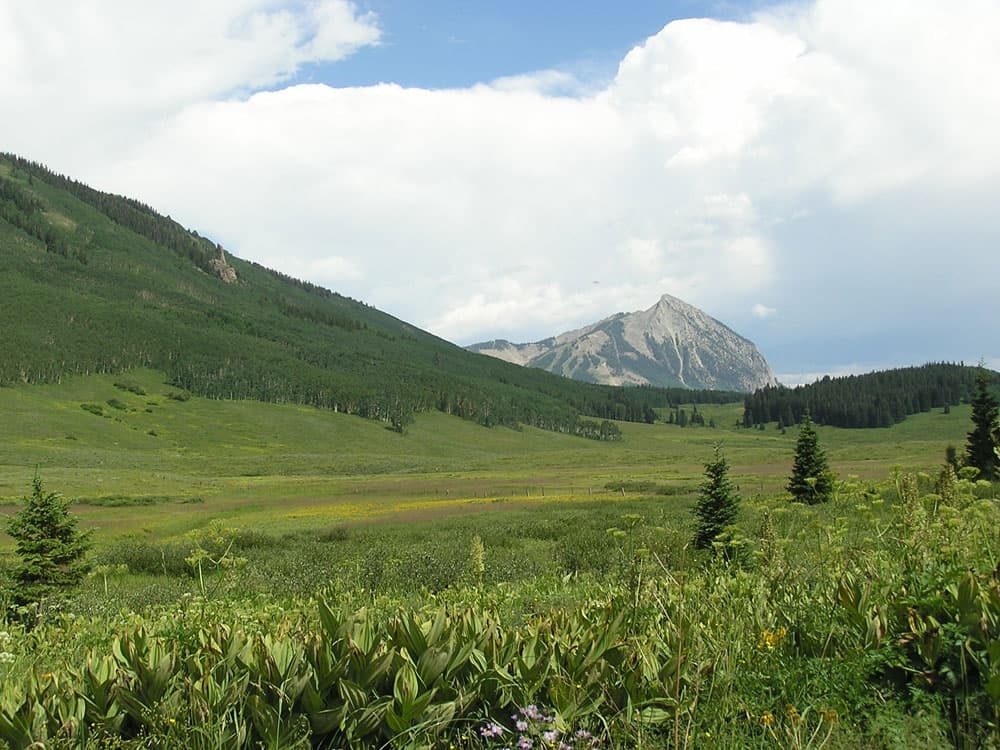 Crested Butte
