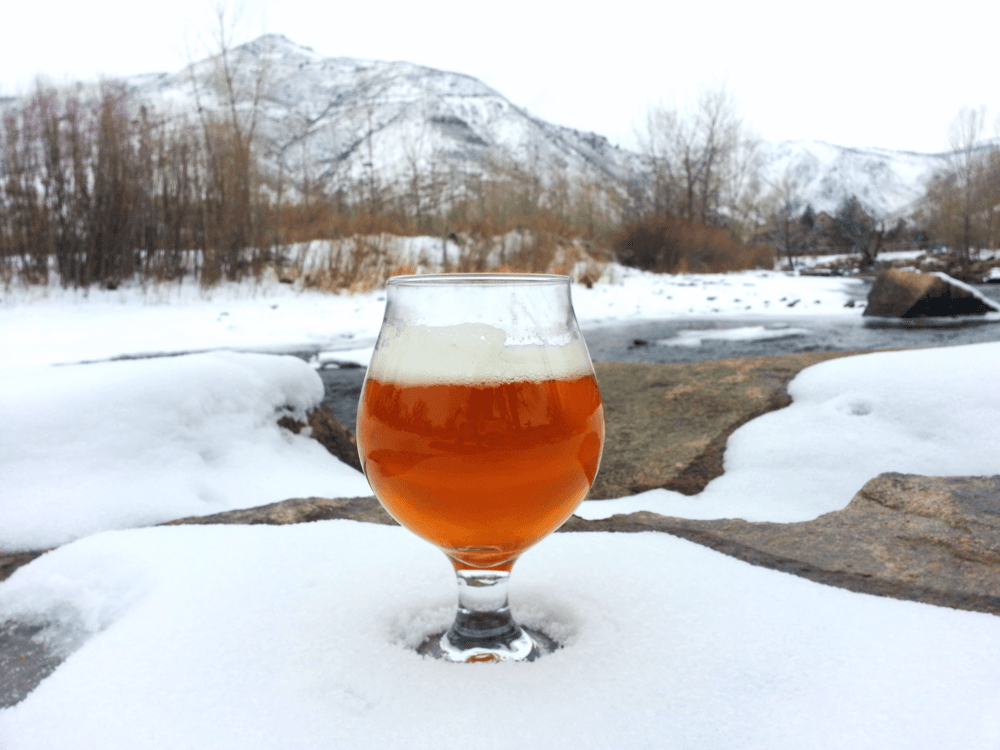 mountain toad brewing photo