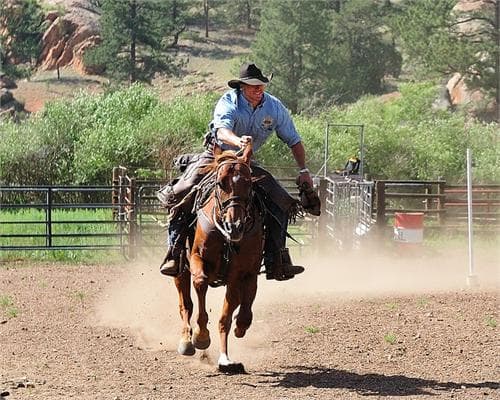 fun at the ranch rodeo! photo