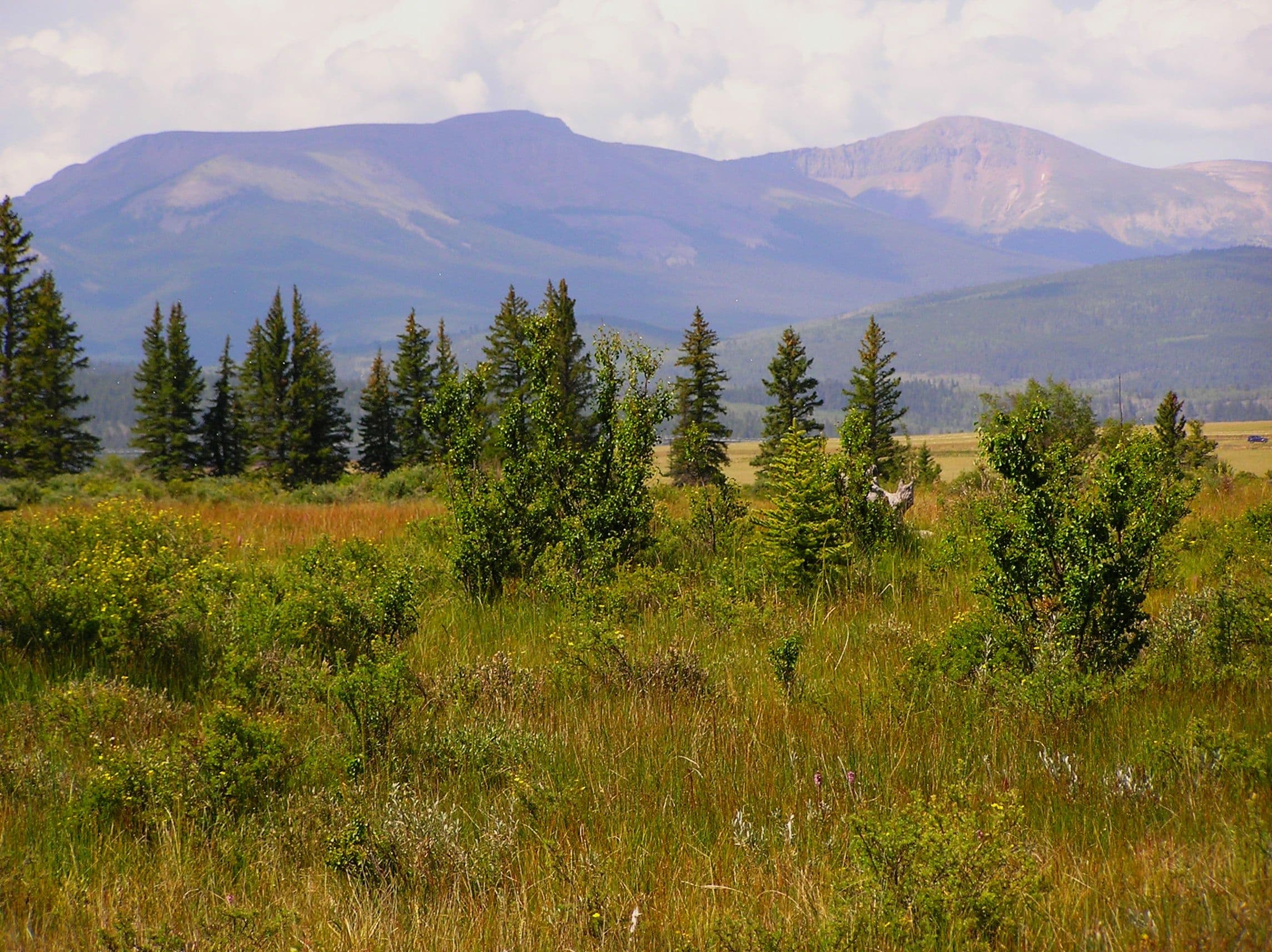high creek fen photo