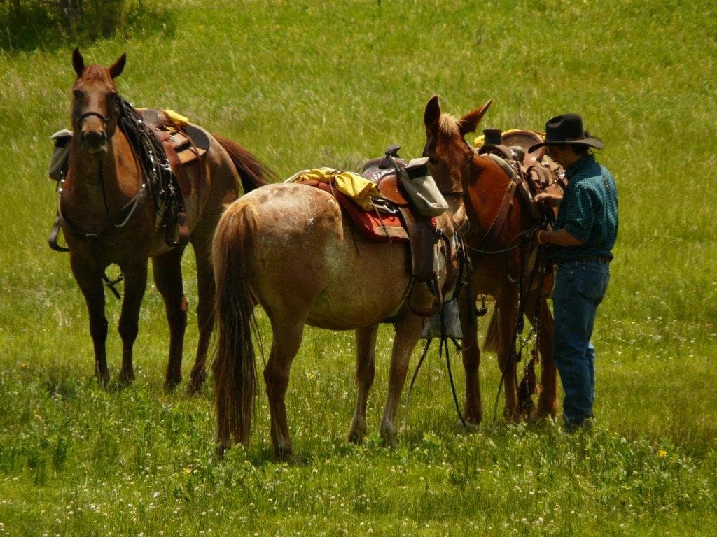 north fork ranch & fishing lodge photo