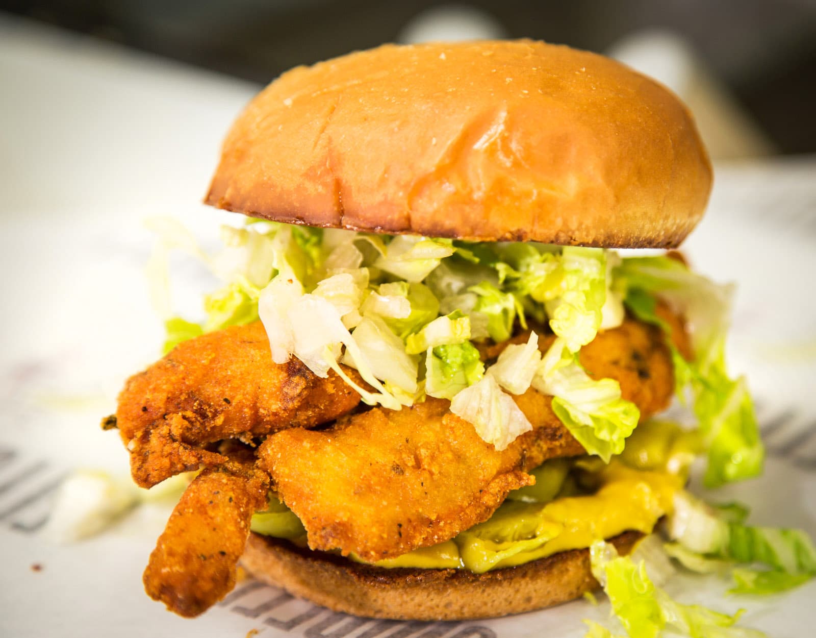 the yb filet sandwich photo