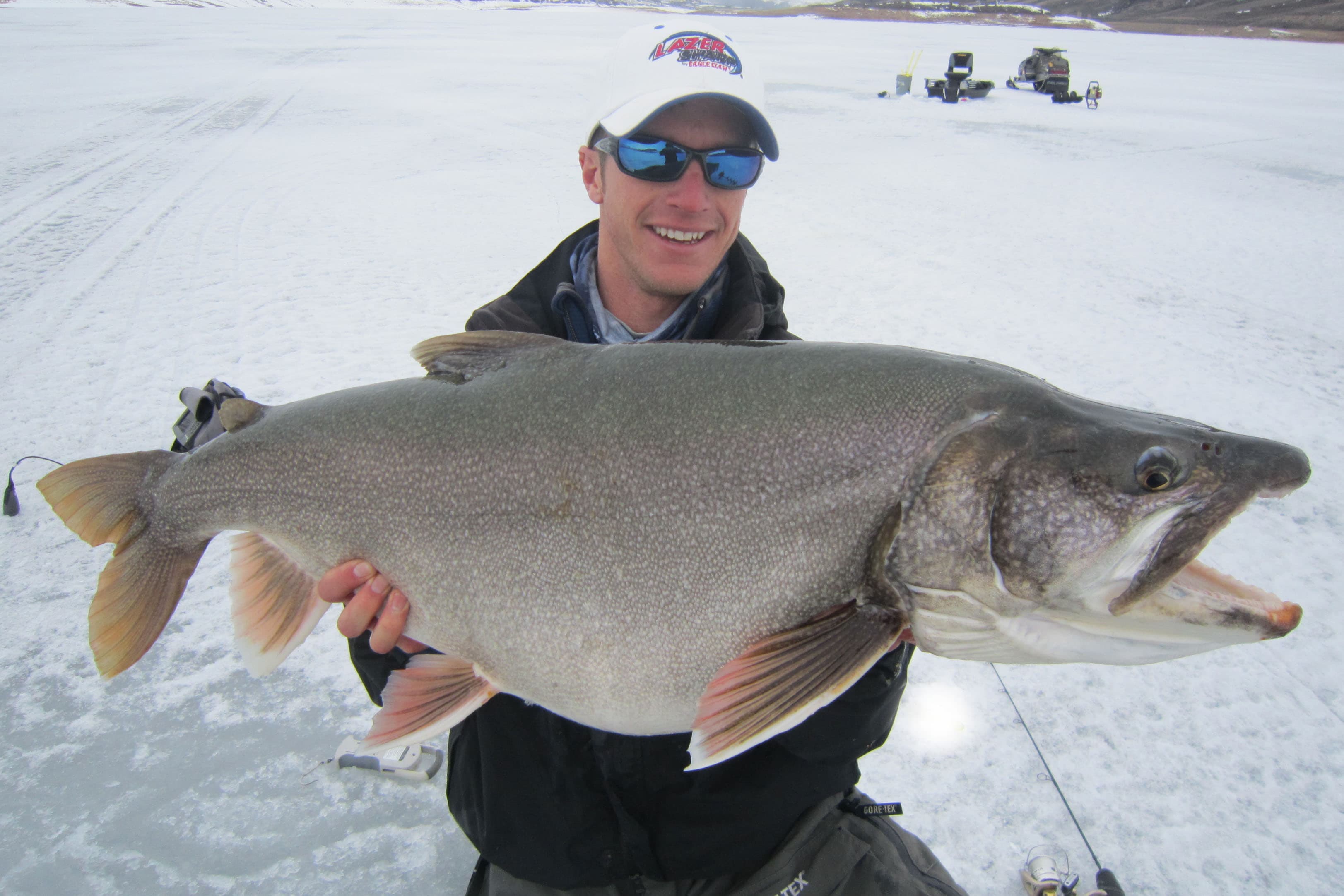 big colorado lake trout! photo