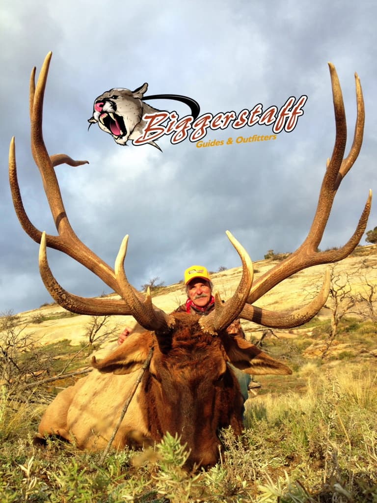 trophy elk hunts photo