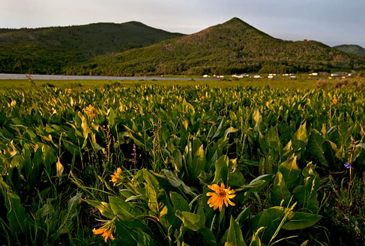 vega state park-scenic photo