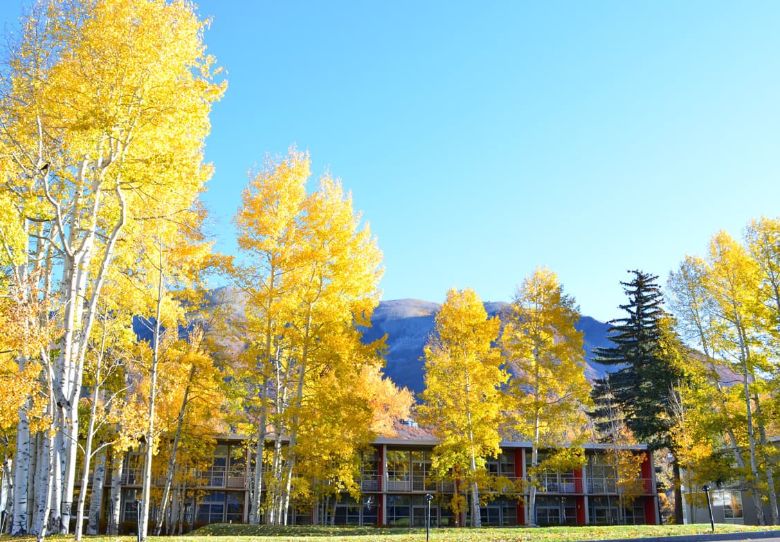 40 sweeping acres, classic bauhaus-inspired design and a truly impressive history, the aspen meadows resort is an aspen gem to visit photo 5