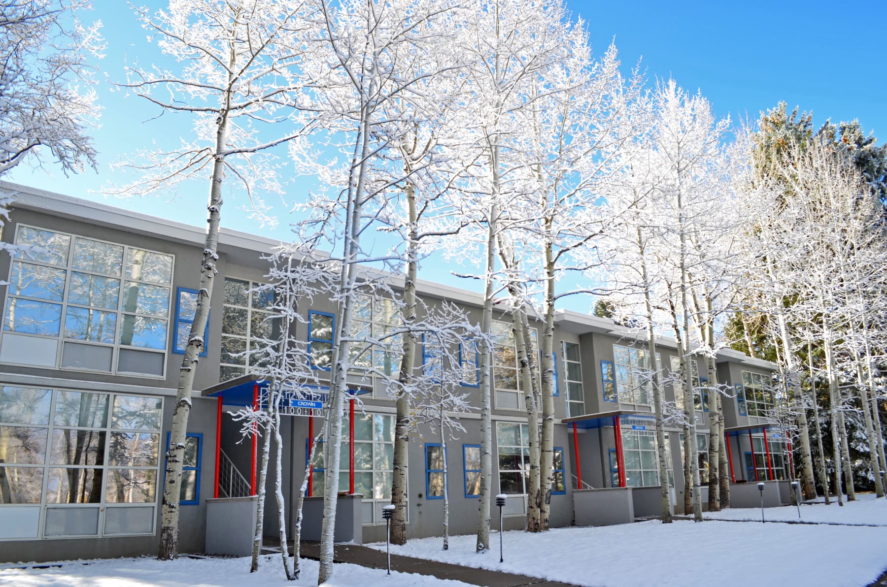 our bauhaus designed guest rooms photo 7