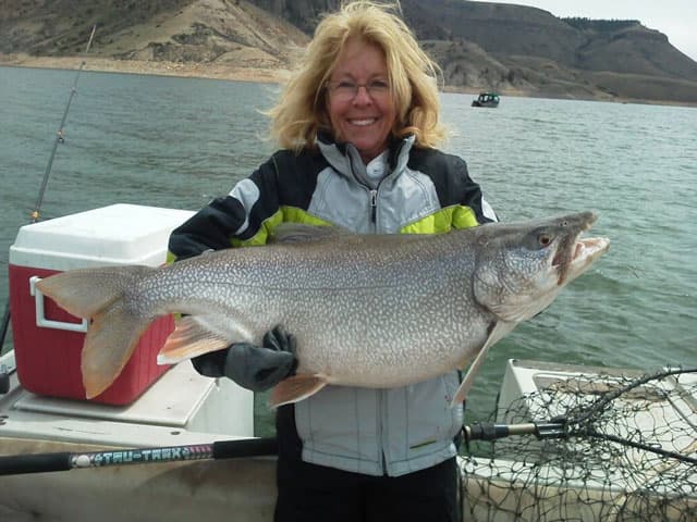 elk creek marina in gunnison photo