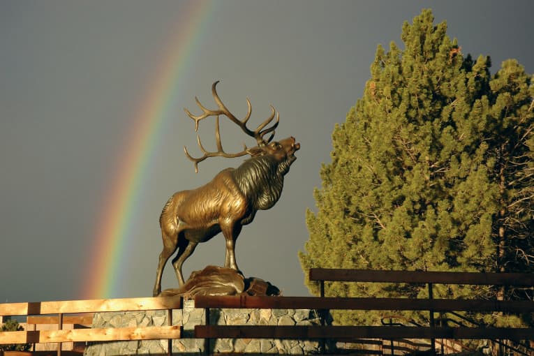 sound of autumn, by gerald balciar. monumental bronze. photo
