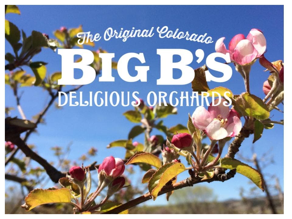 springtime at delicious orchards photo