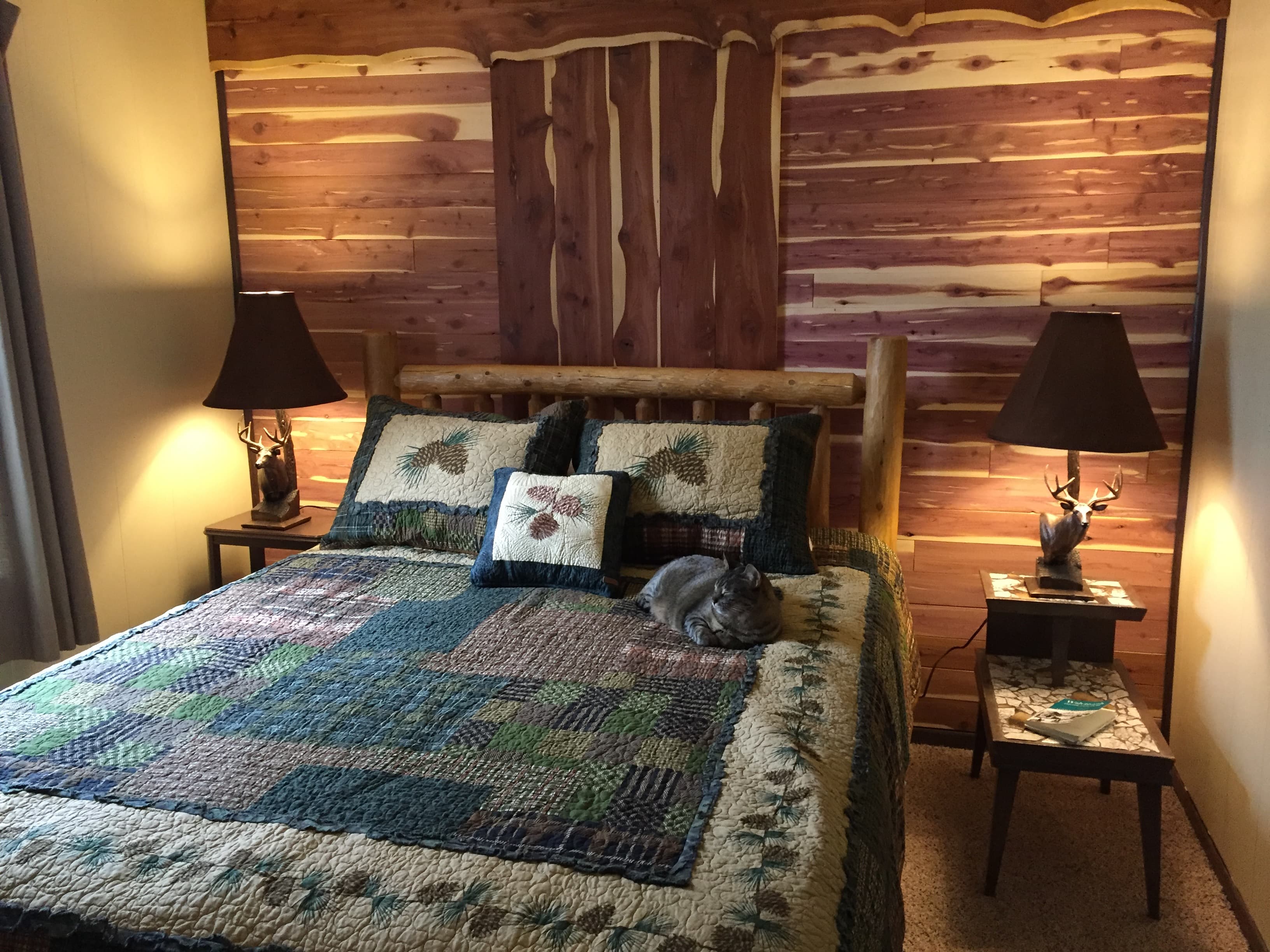 master bedroom photo