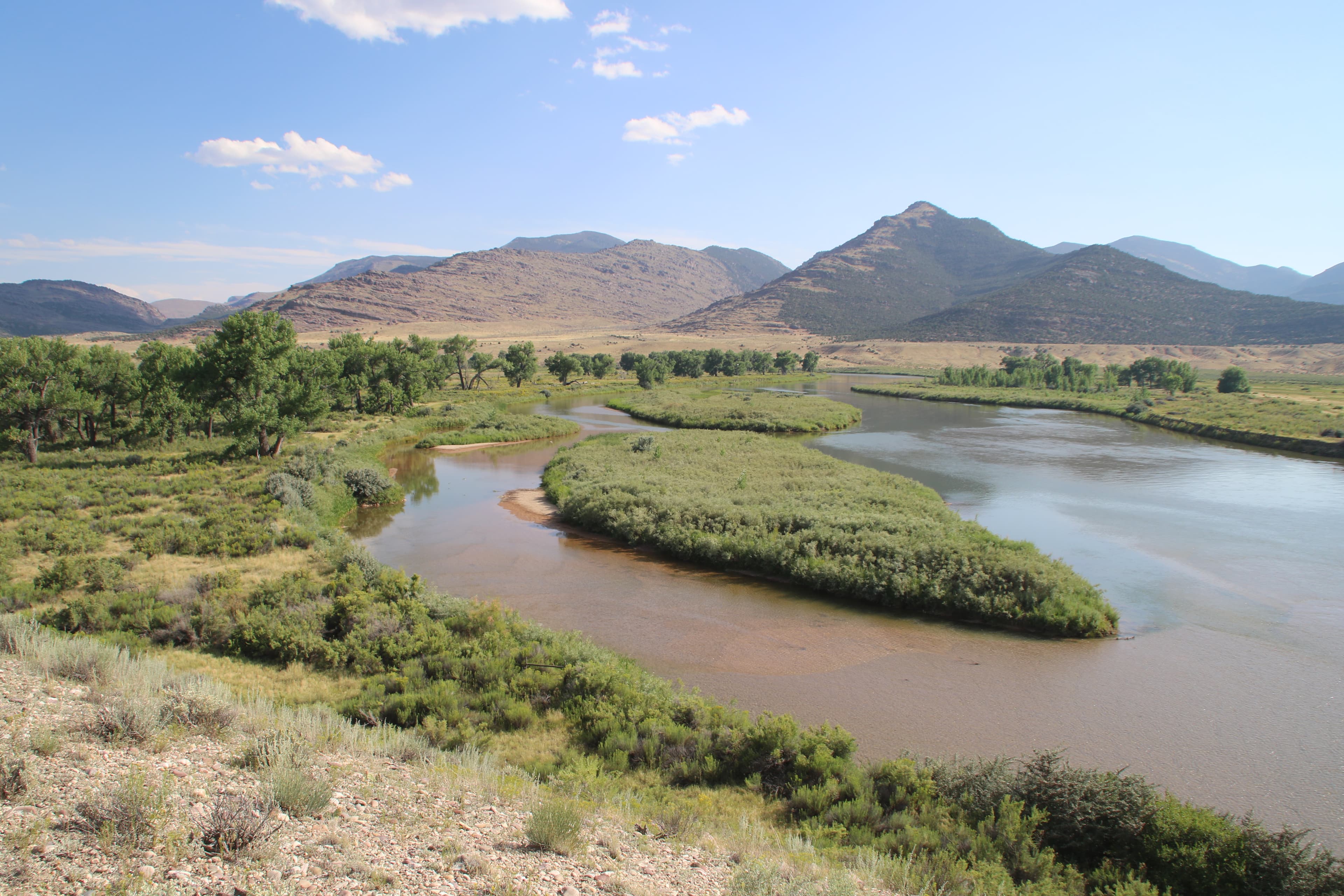 browns park nwr photo