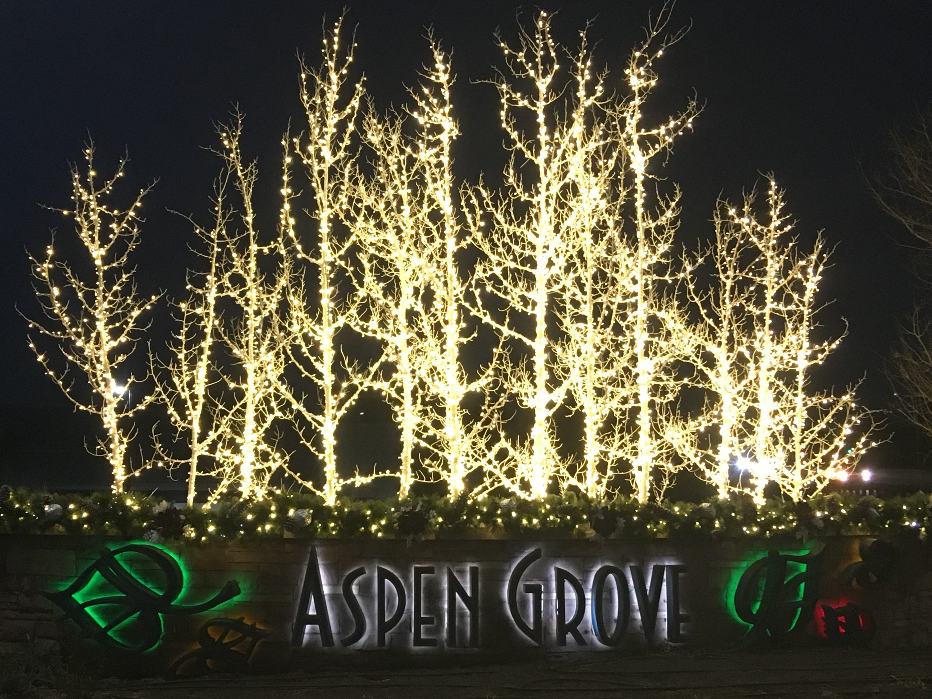aspen grove holiday photo