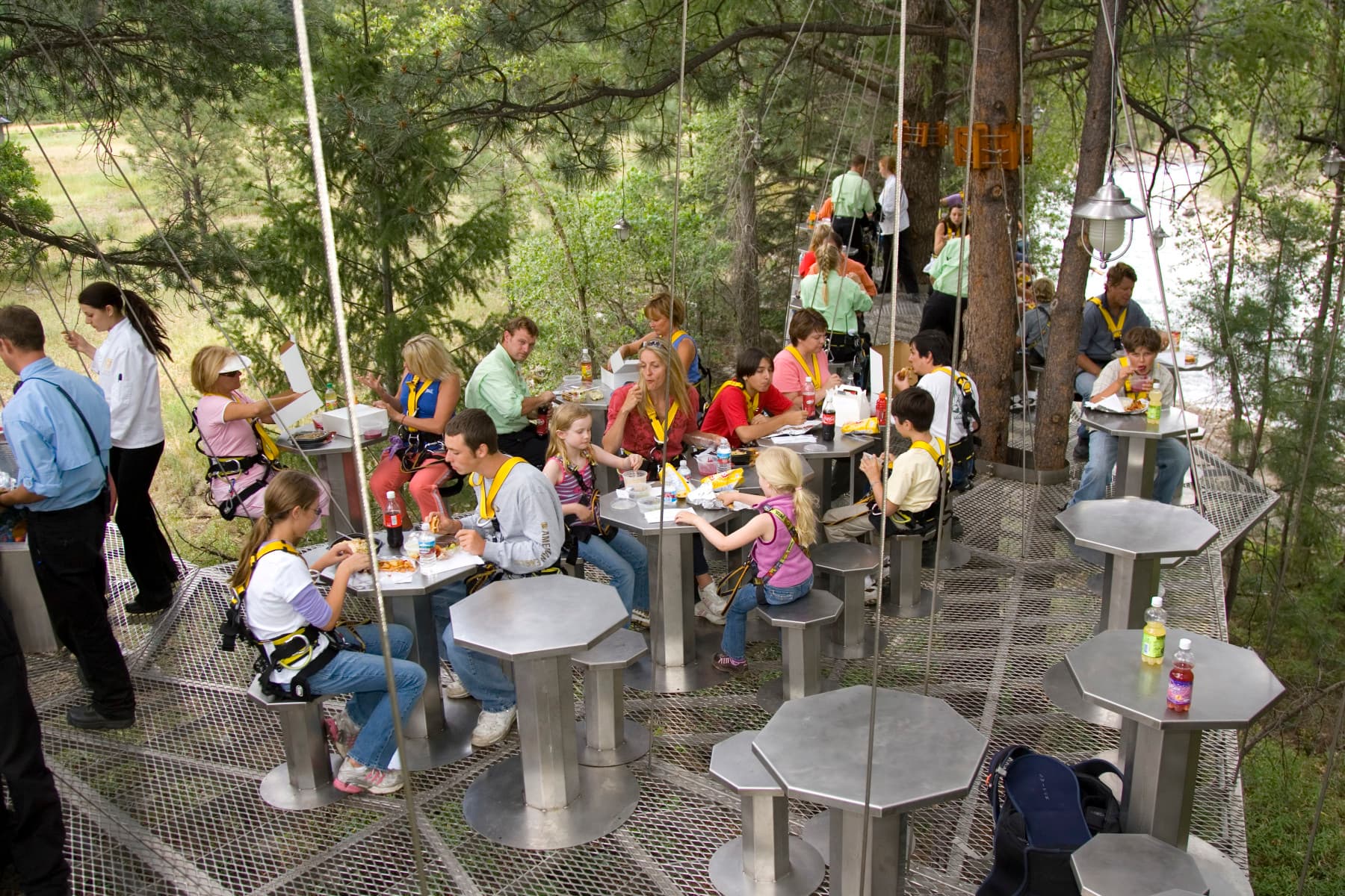 4-course gourmet lunch overlooking the animas river in our tree canopy photo 15