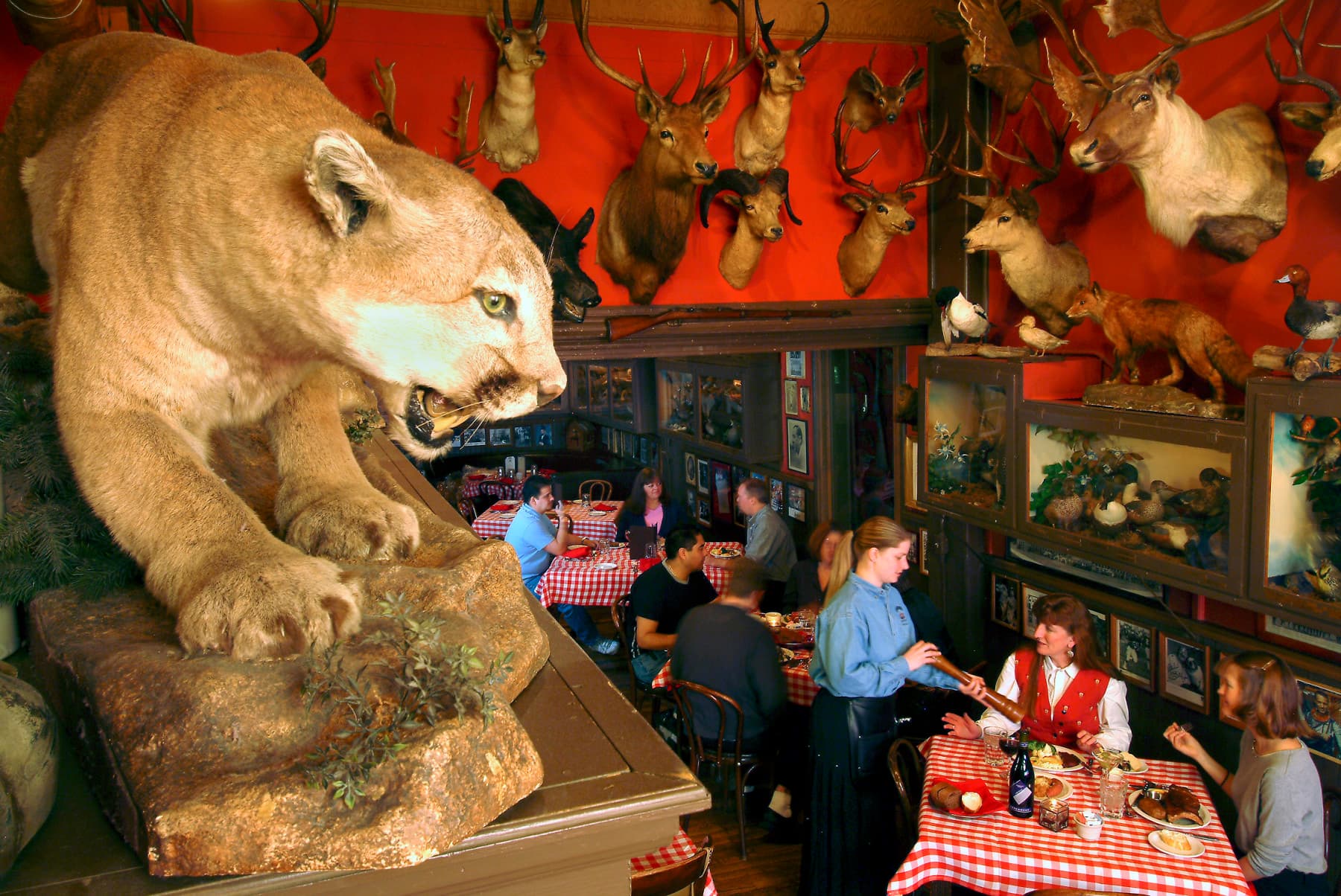 buckhorn exchange restaurant in denver photo