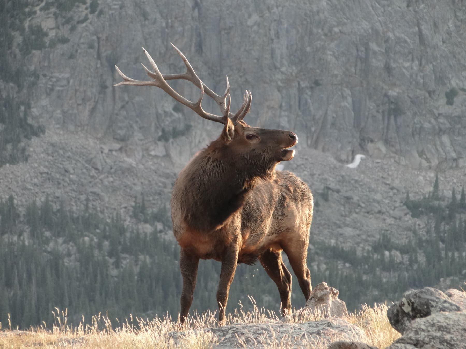 four minutes to the main entrance of rocky mountain national park. photo 9