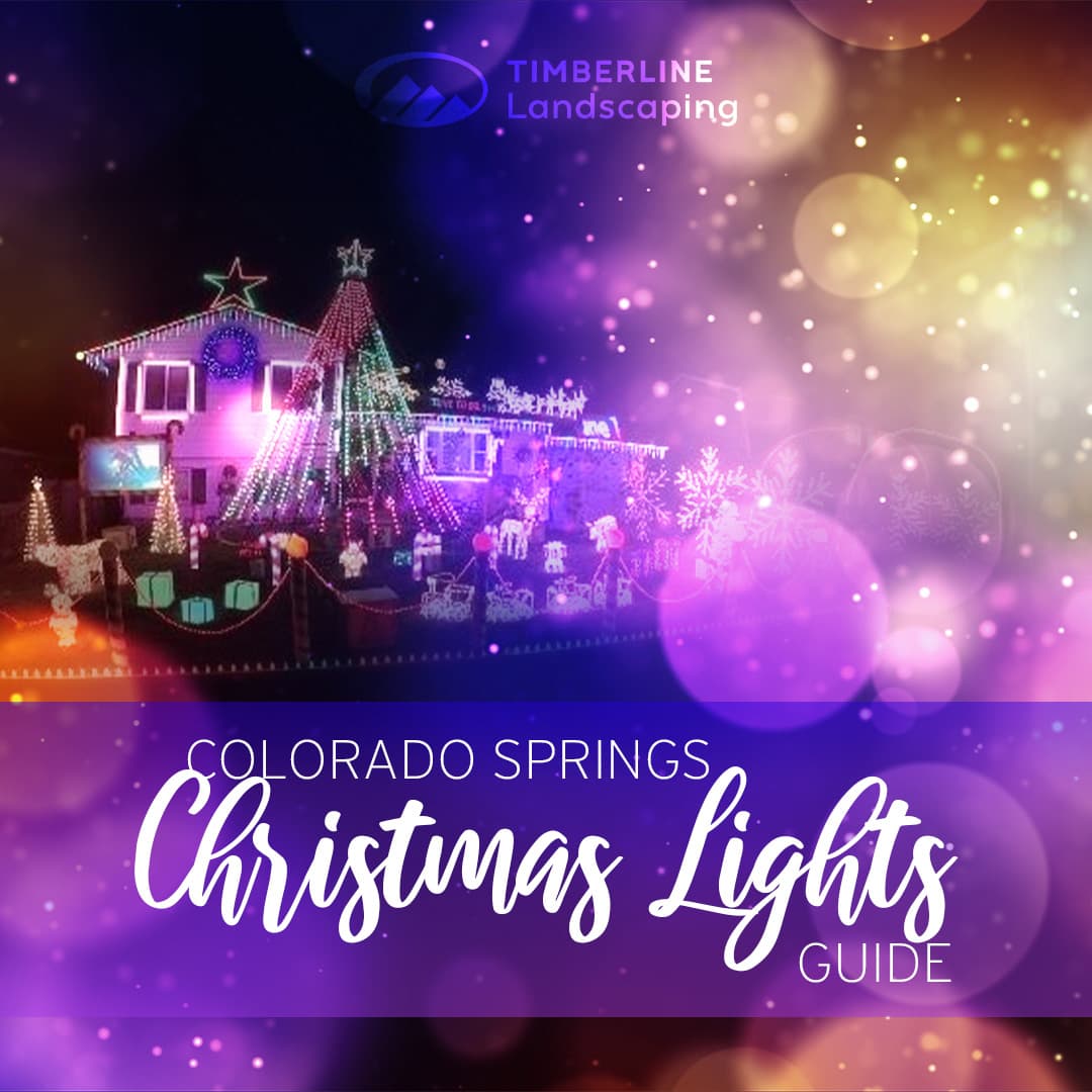 Colorado Springs Christmas Lights Guide